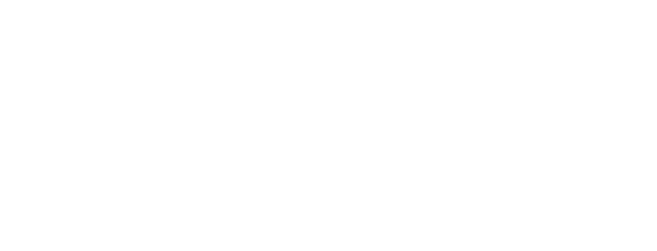 th-mannheim-neblik
